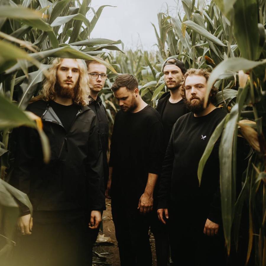 Avalanche Effect Songs, Lieder & Infos RauteMusik.FM