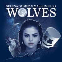 trackbild