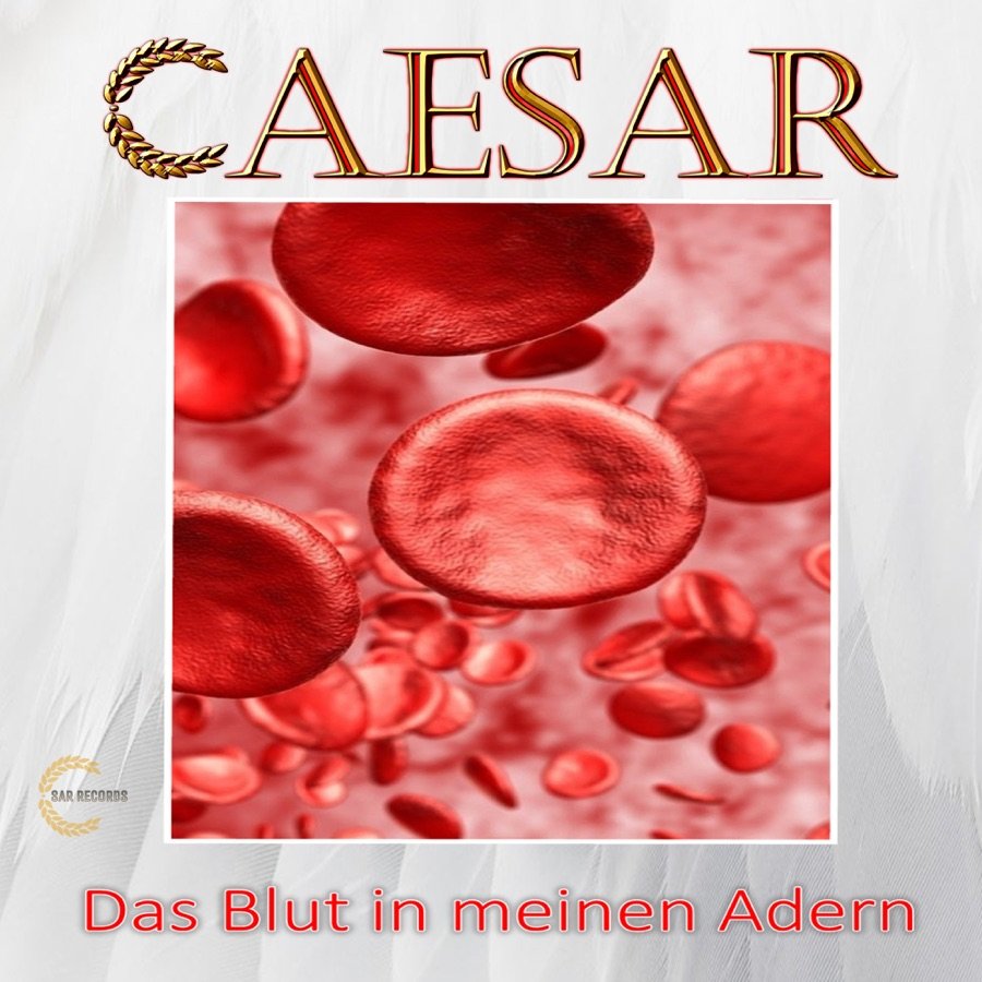 trackbild